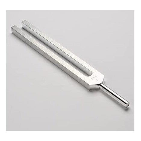 DIAPASON SIN SORDINA 256 C